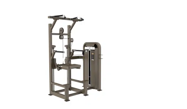 Dip/Chin Assist - E5009