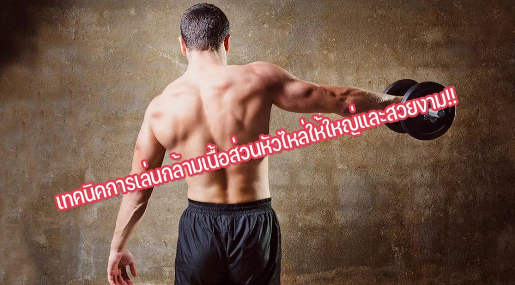 เทคนิคการเล่นกล้ามเนื้อส่วนหัวไหล่ให้ใหญ่และสวยงาม!!