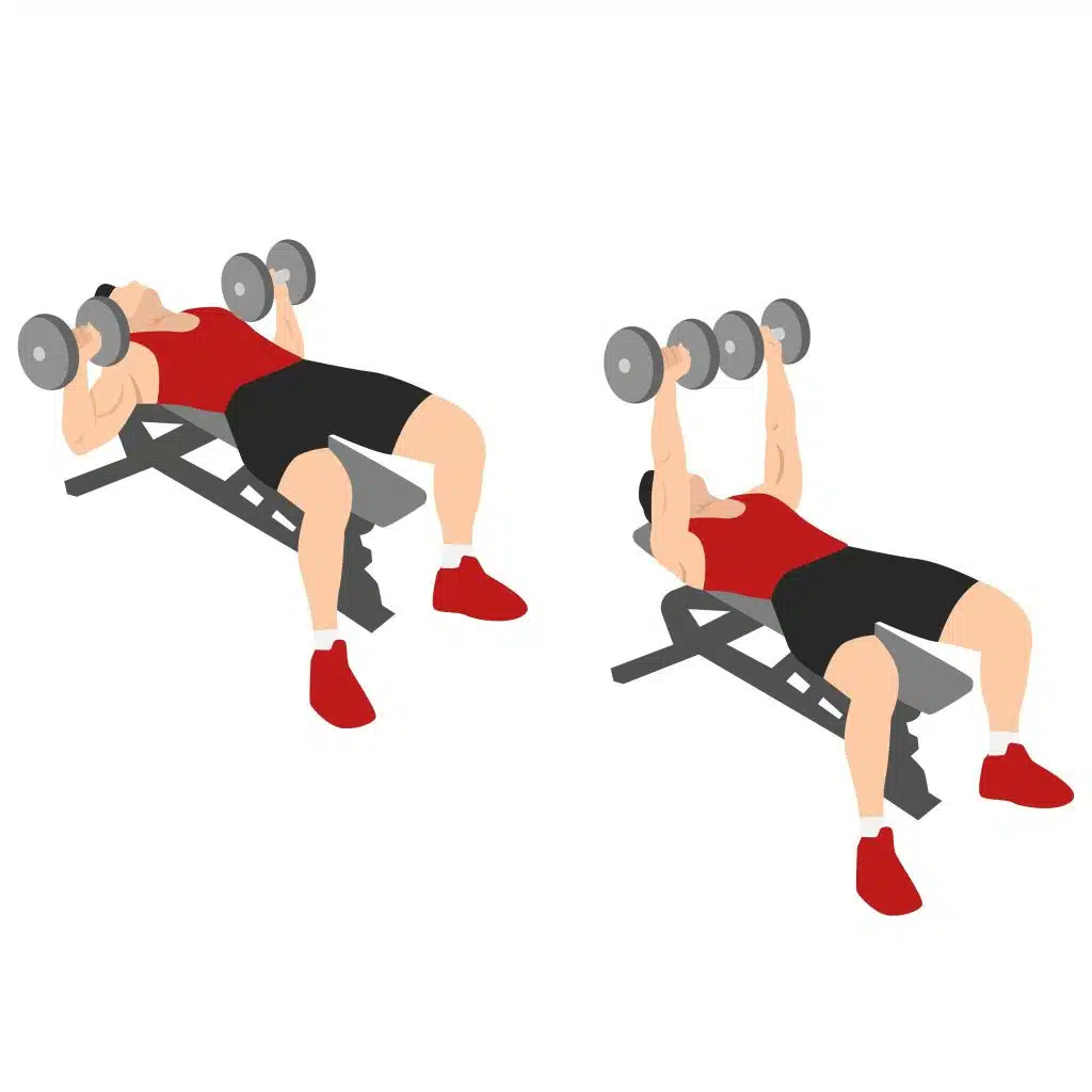 Dumbbell Bench Press