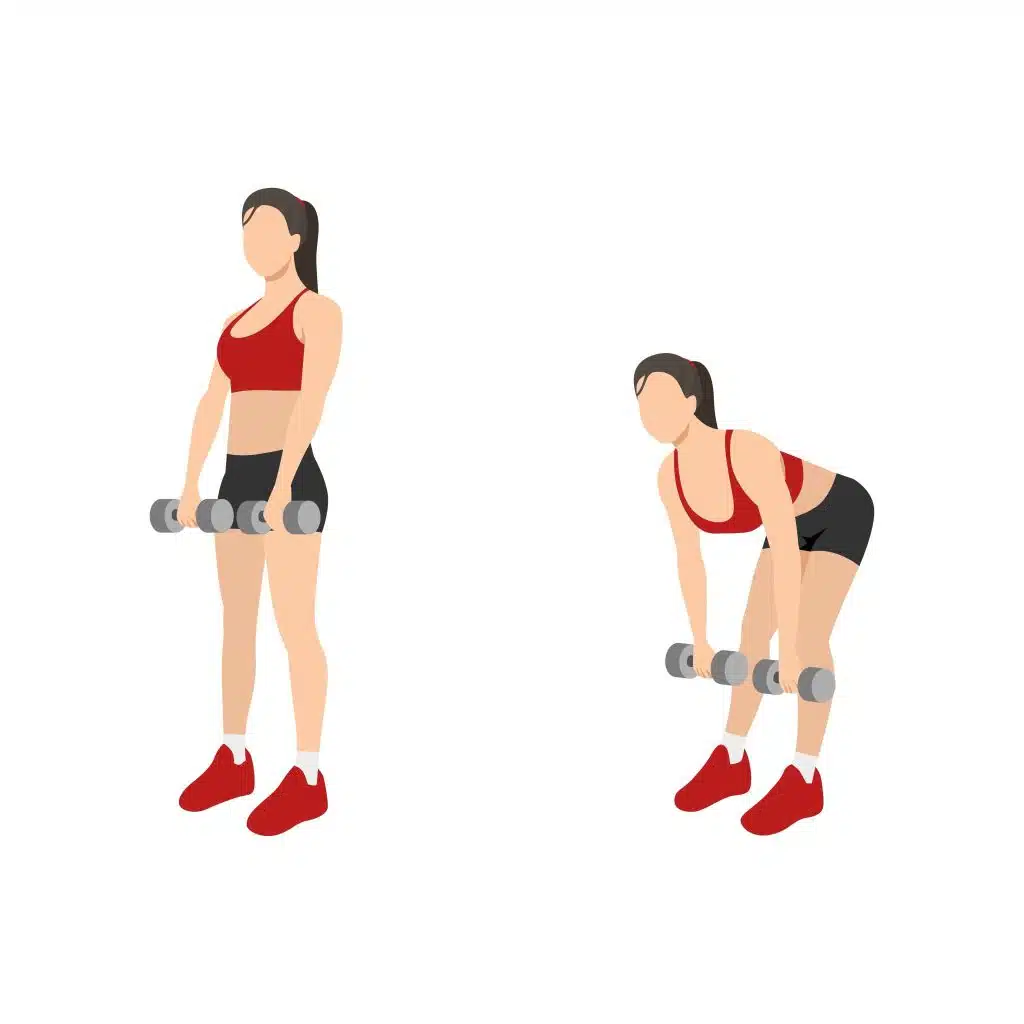 Dumbbell Deadlift