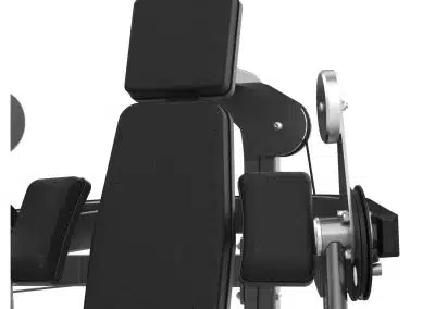 M2-1010B Biceps Curl
