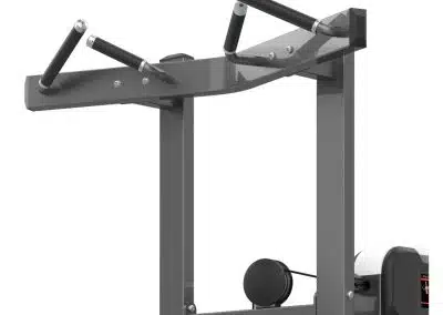 M3-1020 Chin/Dip Assist