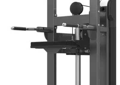 M3-1020 Chin/Dip Assist