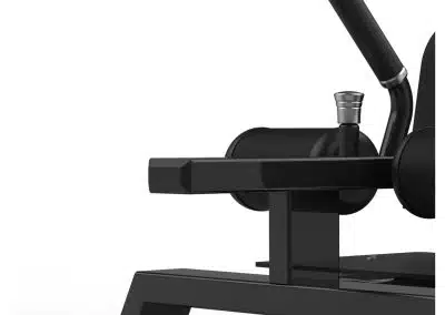 RS-1010 Sissy Squat