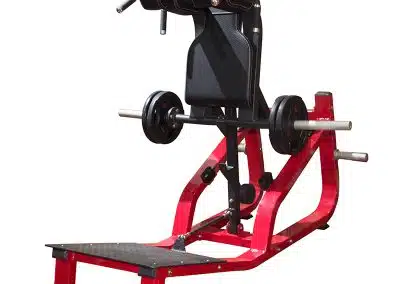 RS-1035 Bothway Squat