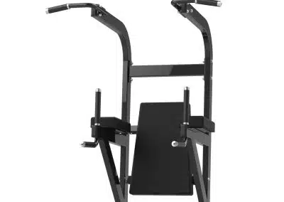 RS-1042 Chin Up&Dip