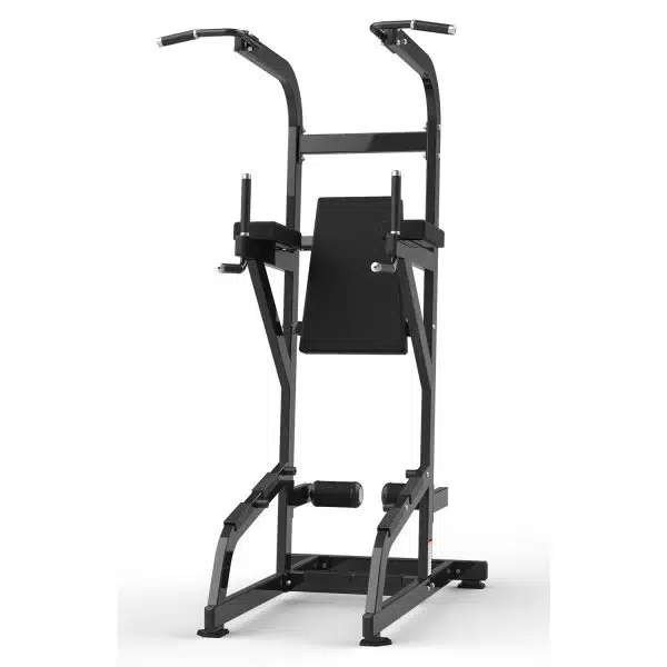RS-1042 Chin Up&Dip