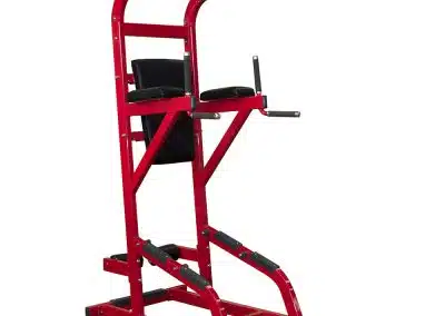 RS-1042 Chin Up&Dip