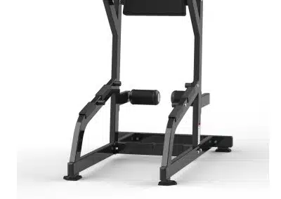RS-1042 Chin Up&Dip