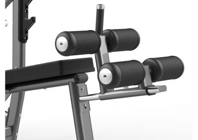 FW-1003 Olympic Decline Bench
