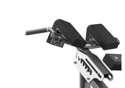 FW-1006 Hyperextension