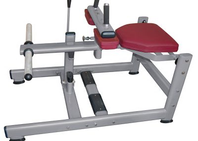 FW-1017 Seated Calf raise