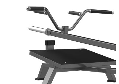 FW-2005 T-Bar Row