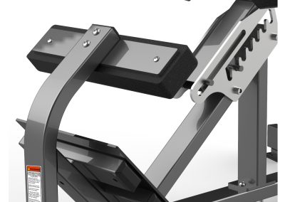 FW-2006 Hyperextension