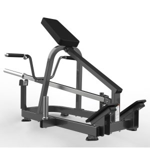 FW-2012 Lying T-bar Row