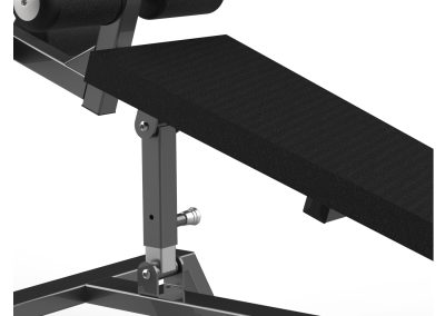 FW-2013 Adjustable Abdominal Bench