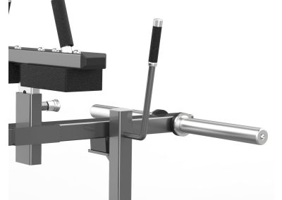 FW-2017 Seated Calf Raise