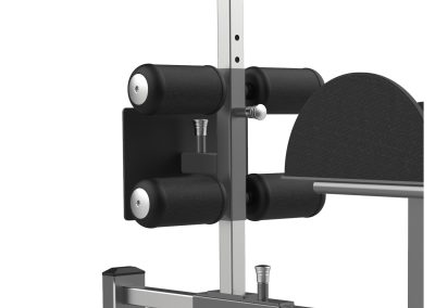 FW-2029 Glute Ham Raise